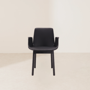 VHC-007 Luxurious Contemporary Armchair