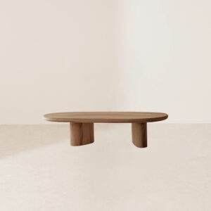 VHCT-007 Streamlined Fish-Shaped Coffee Table